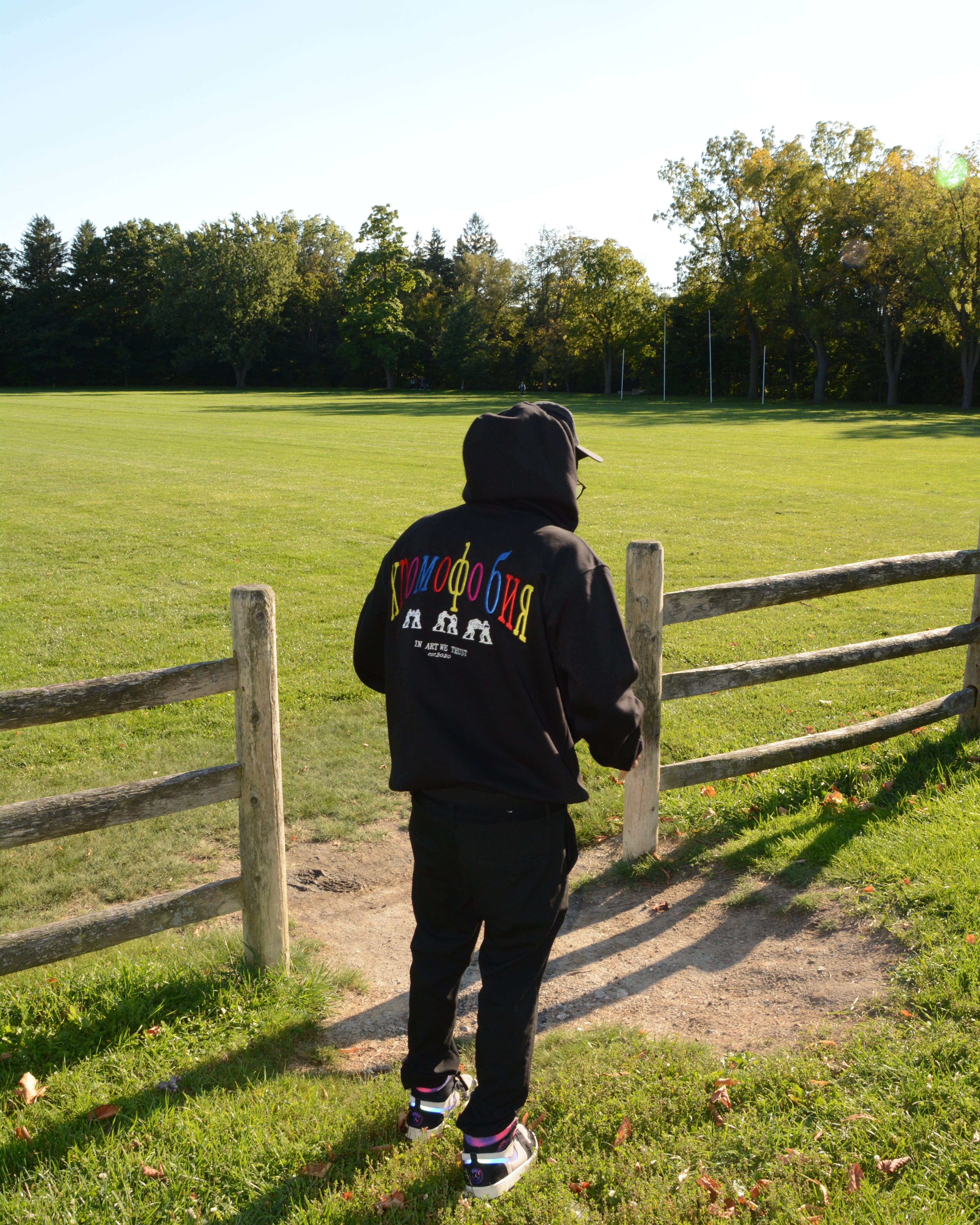 хромофония HOODIE